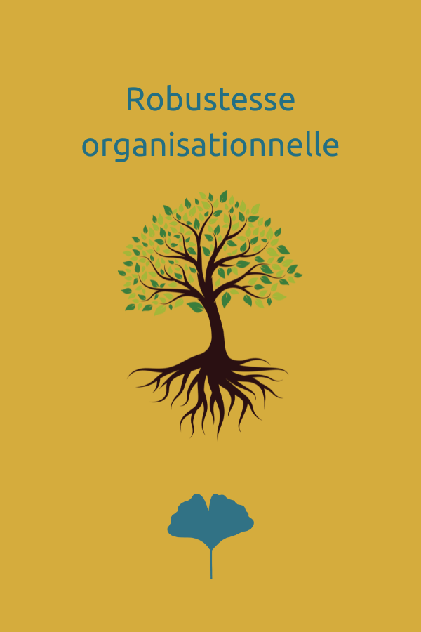 Robustesse organisationnelle
